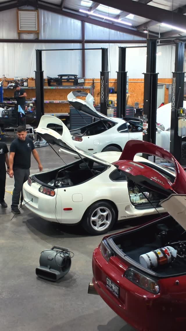 Post 4 by Brandon Fruzia on Instagram (video)