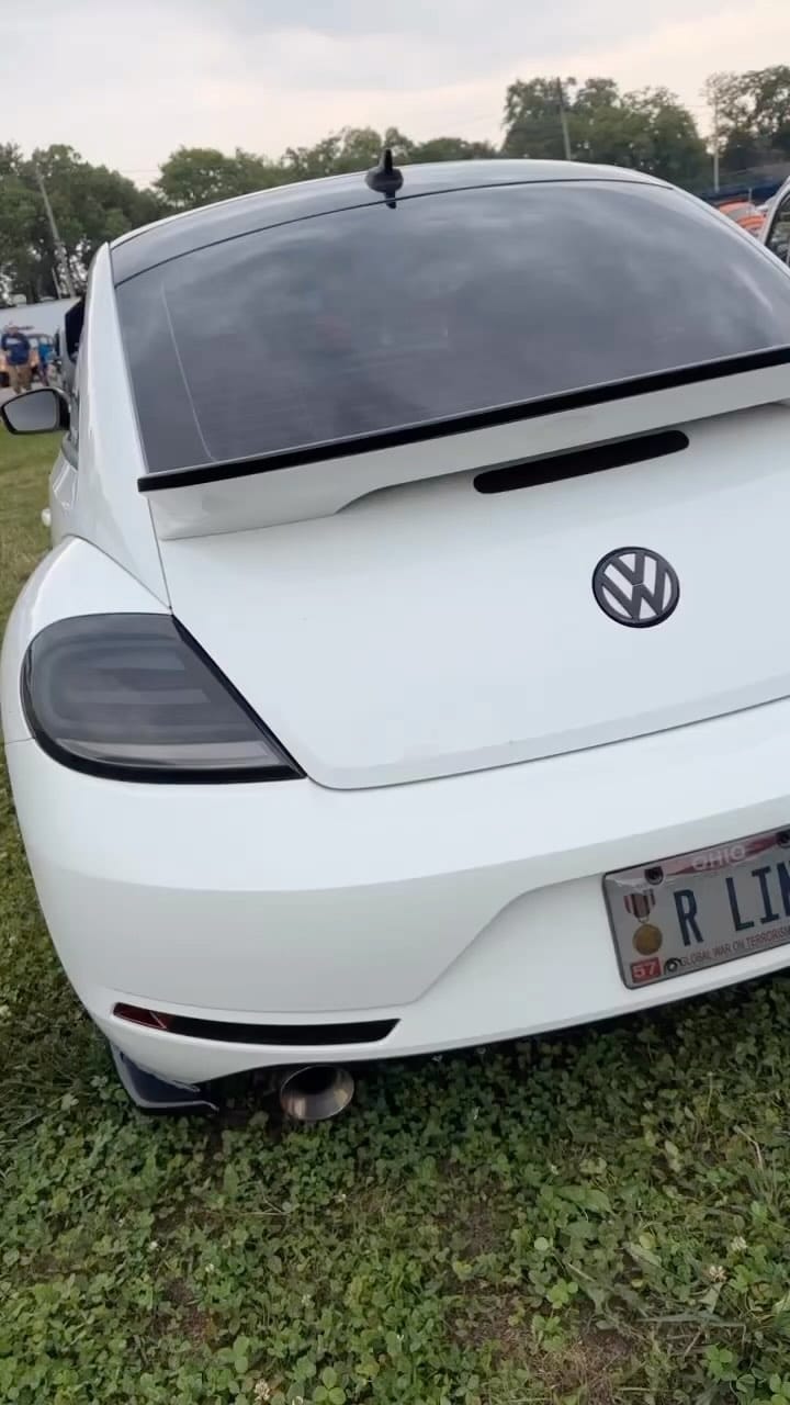 Post 2 by Just_A_Beetle on Instagram (video)
