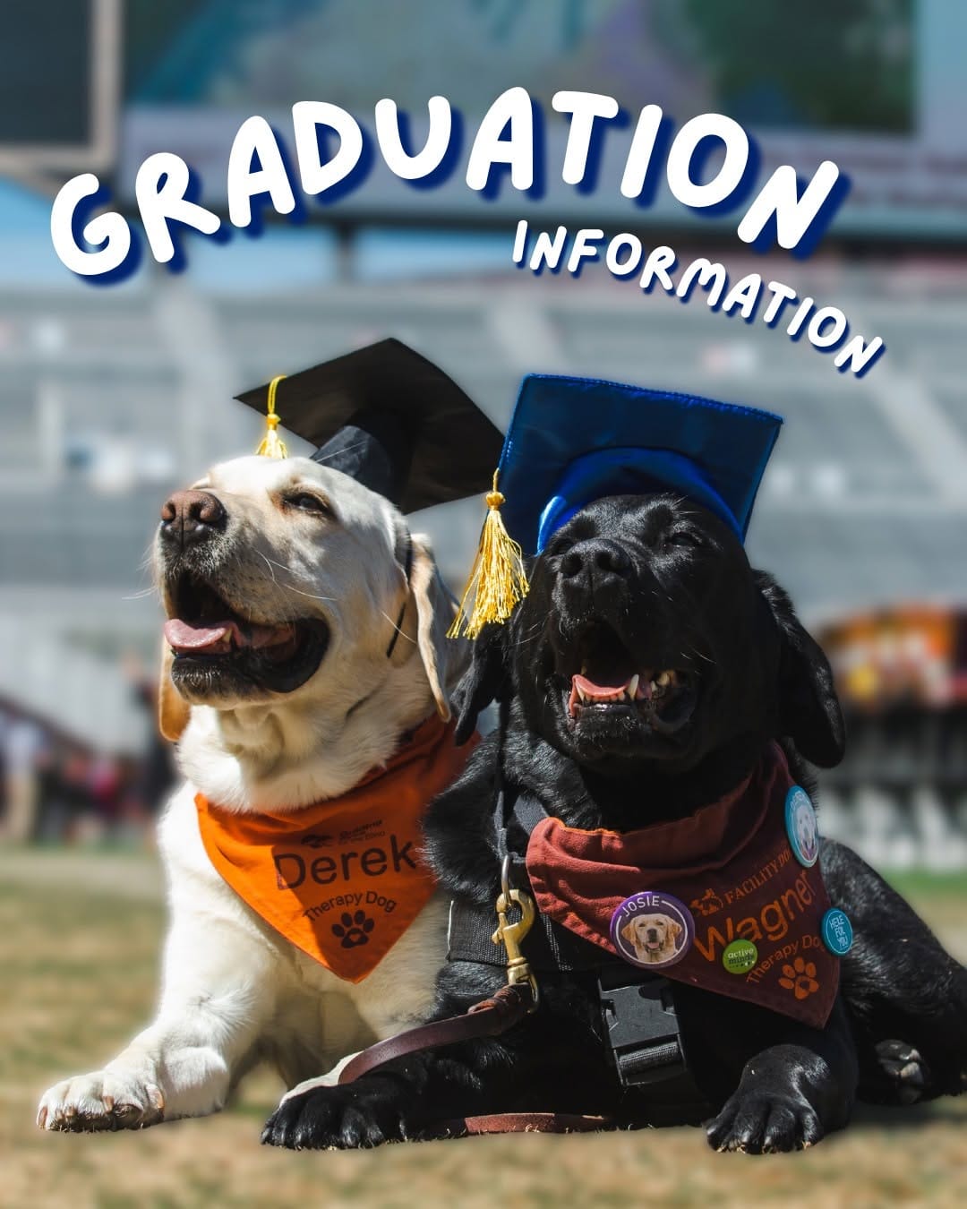 Post 5 by Virginia Tech Student Affairs on Instagram (image)