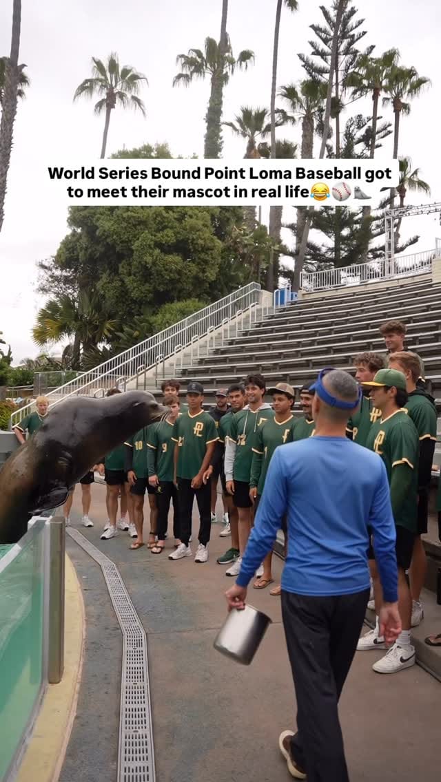 Post 4 by PLNU Sea Lions on Instagram (video)