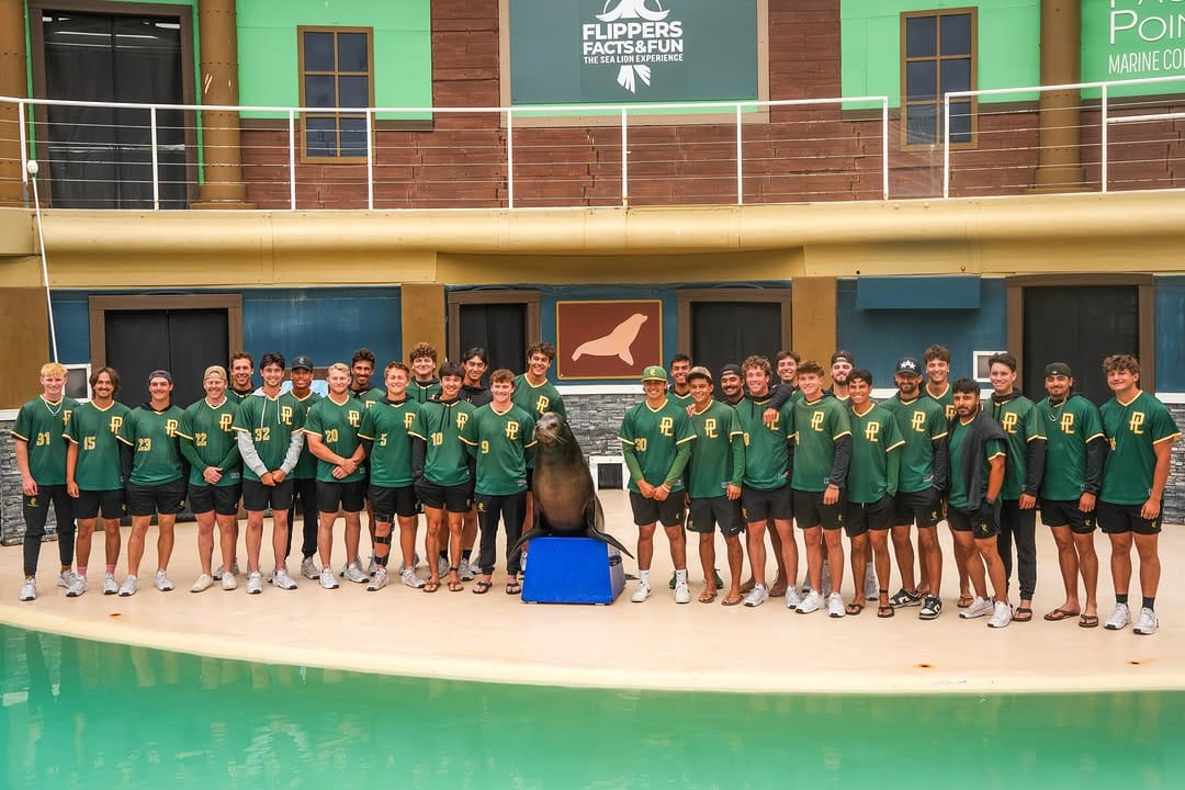 Post 5 by PLNU Sea Lions on Instagram (image)