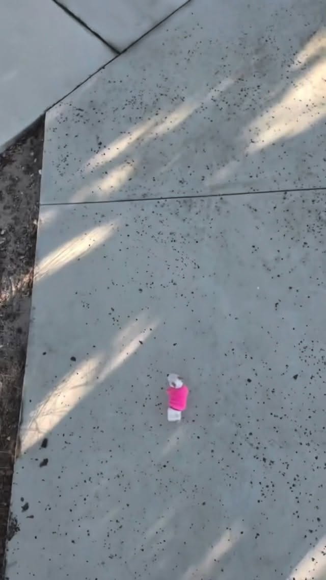 Post 3 by Nicolas Roman Srut on Instagram (video)