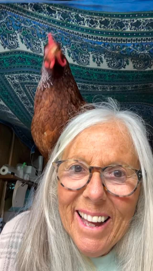 Post 5 by Cherie Herne on Instagram (video)