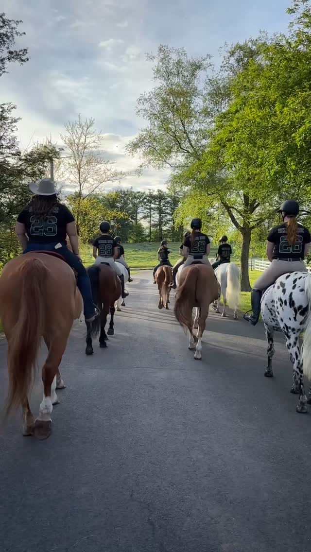 Post 8 by DelVal Equine on Instagram (video)