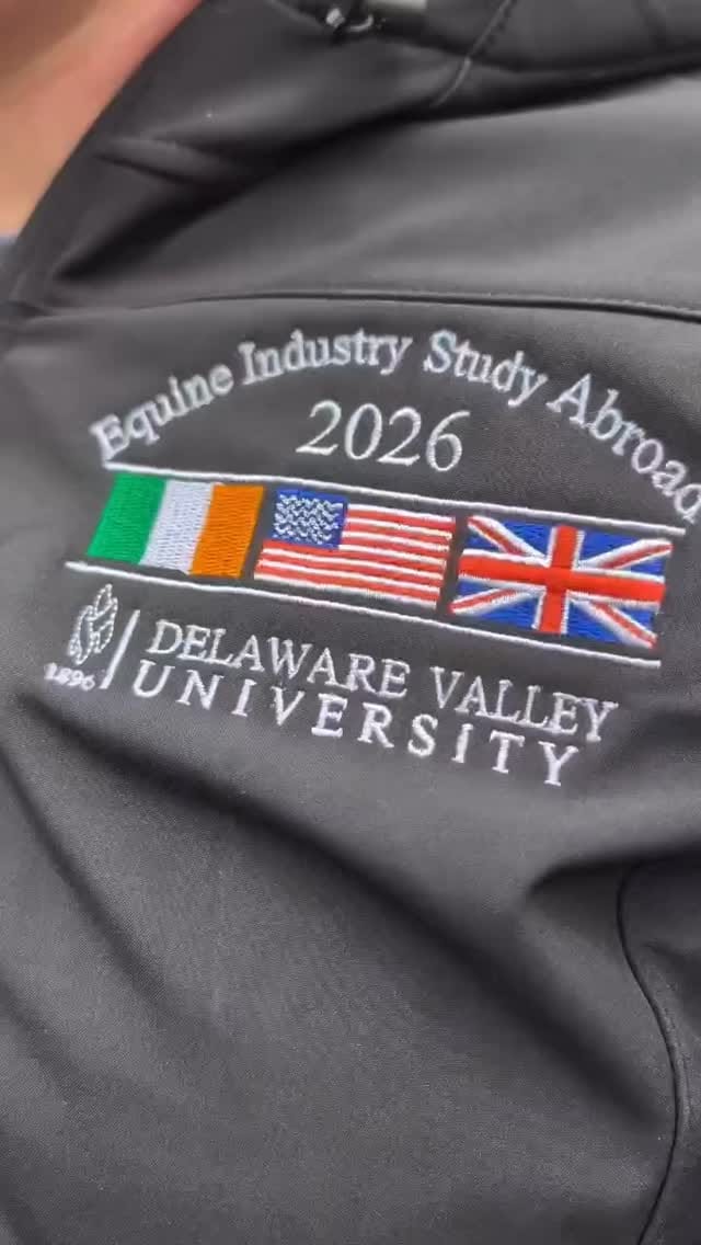 Post 4 by DelVal Equine on Instagram (video)