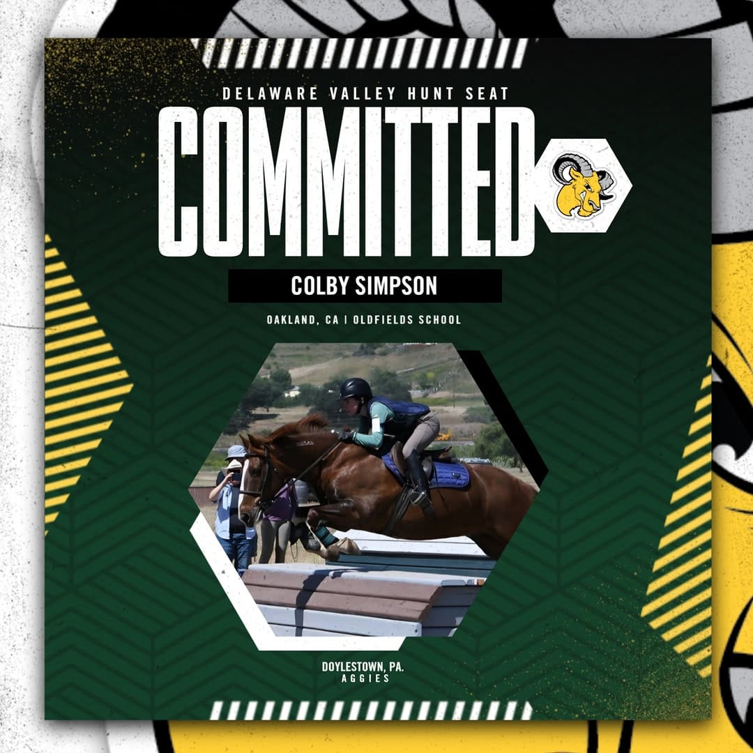 Post 5 by DelVal Equine on Instagram (image)