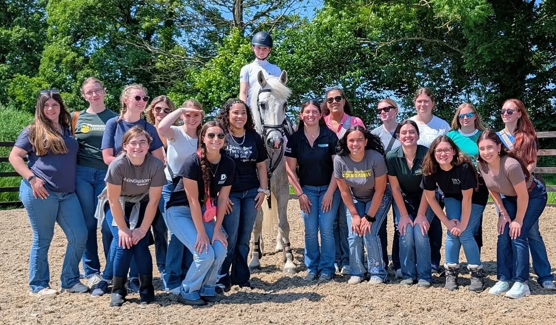 Post 2 by DelVal Equine on Instagram (carousel)