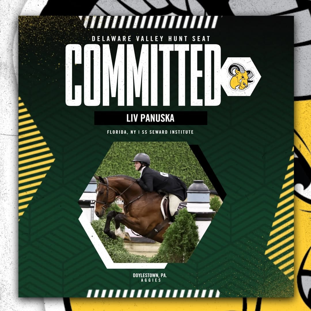 Post 6 by DelVal Equine on Instagram (image)