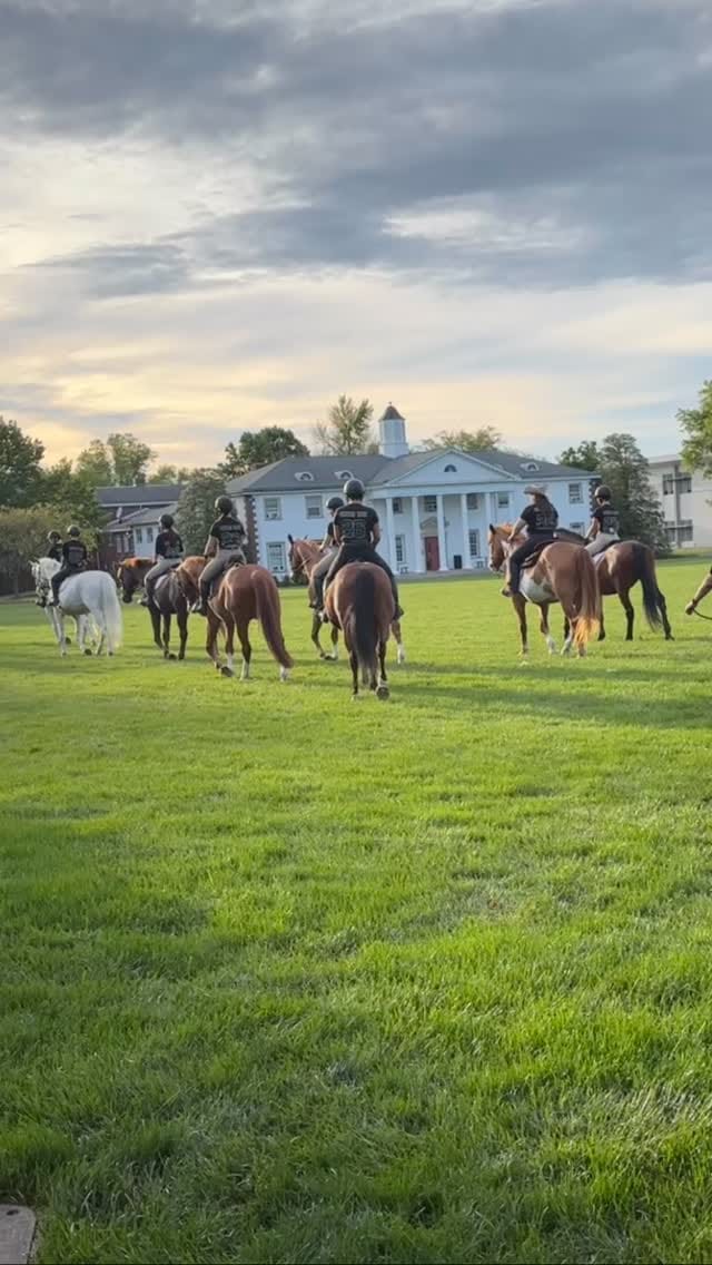 Post 10 by DelVal Equine on Instagram (video)