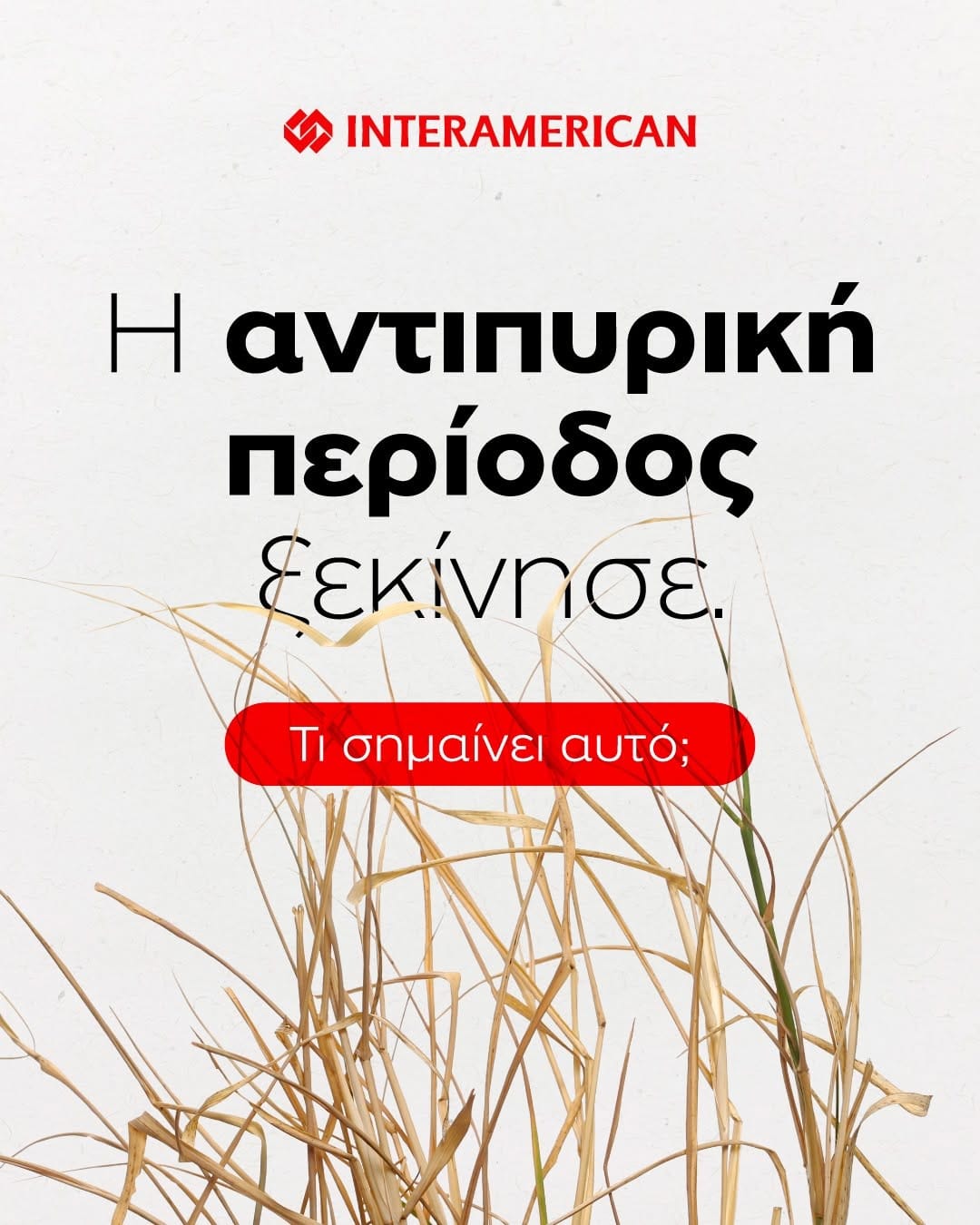 Post 5 by INTERAMERICAN on Instagram (carousel)