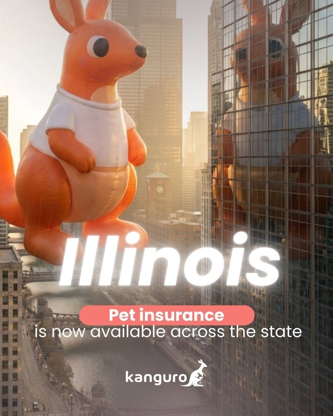 Post 10 by Kanguro Insurance on Instagram (image)