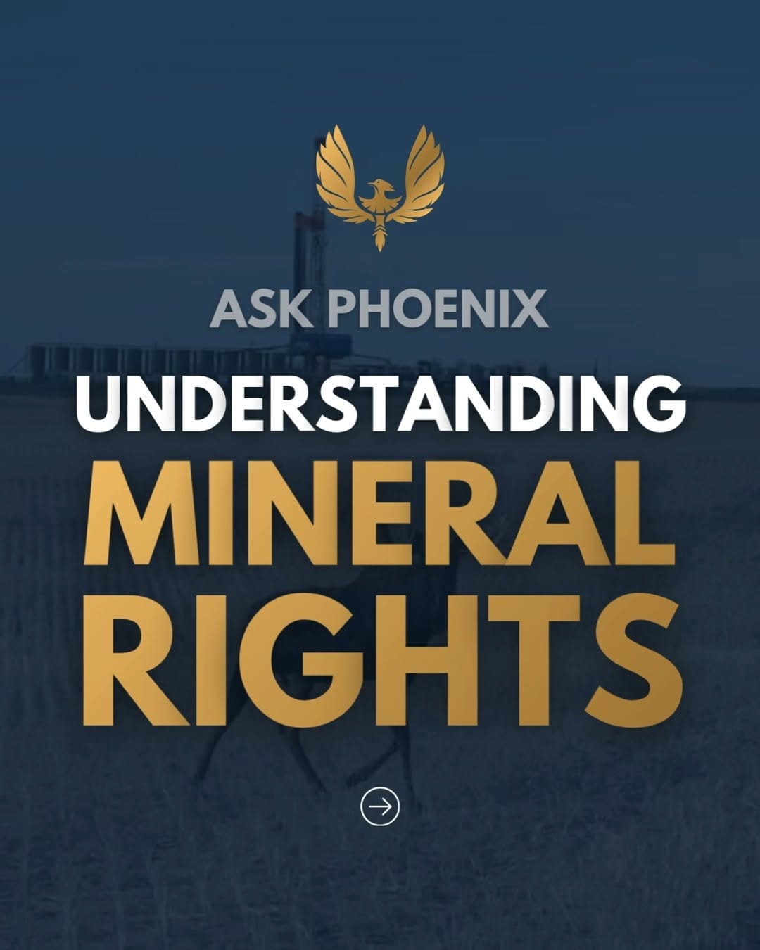 Post 3 by Phoenix Energy on Instagram (video)