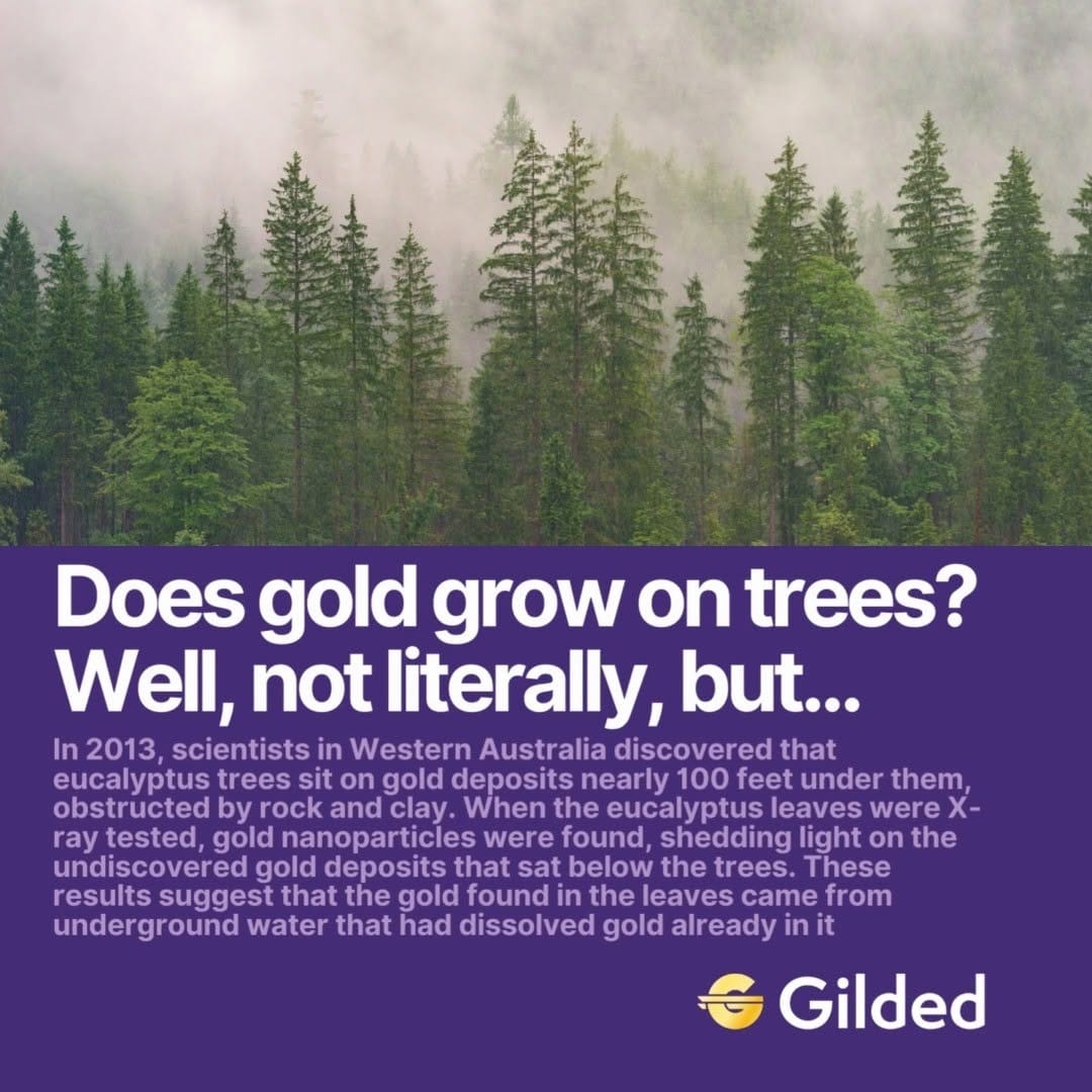 Post 1 by Gilded on Instagram (video)