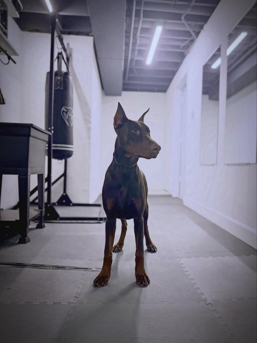 Post 9 by Angel Castañeda on Instagram (image)