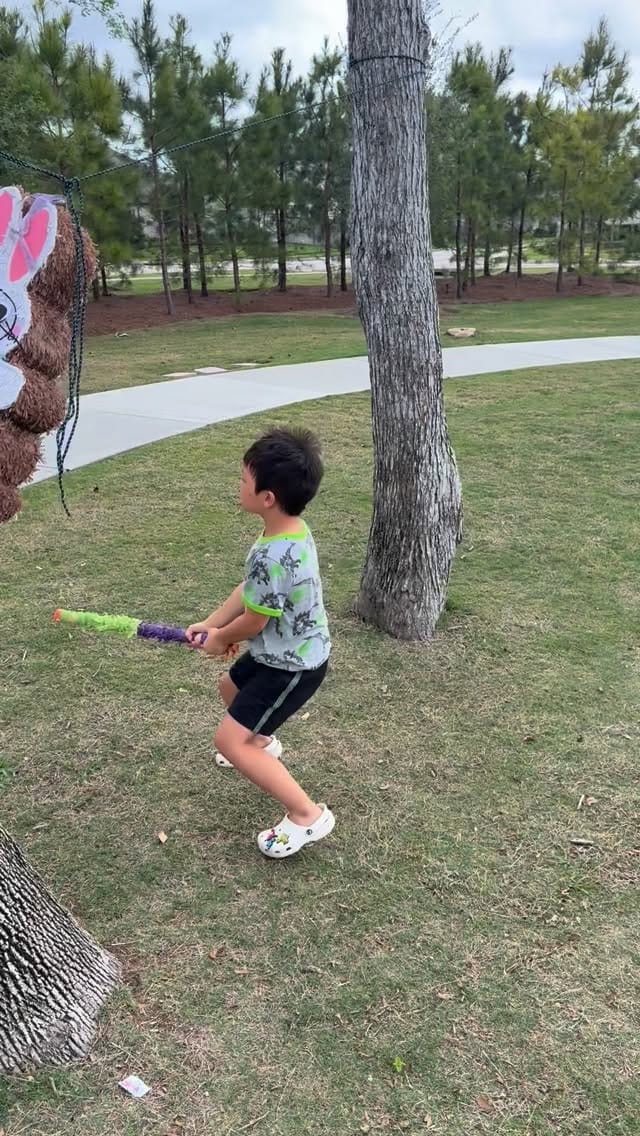 Post 4 by Boun Mia Sananikone on Instagram (video)