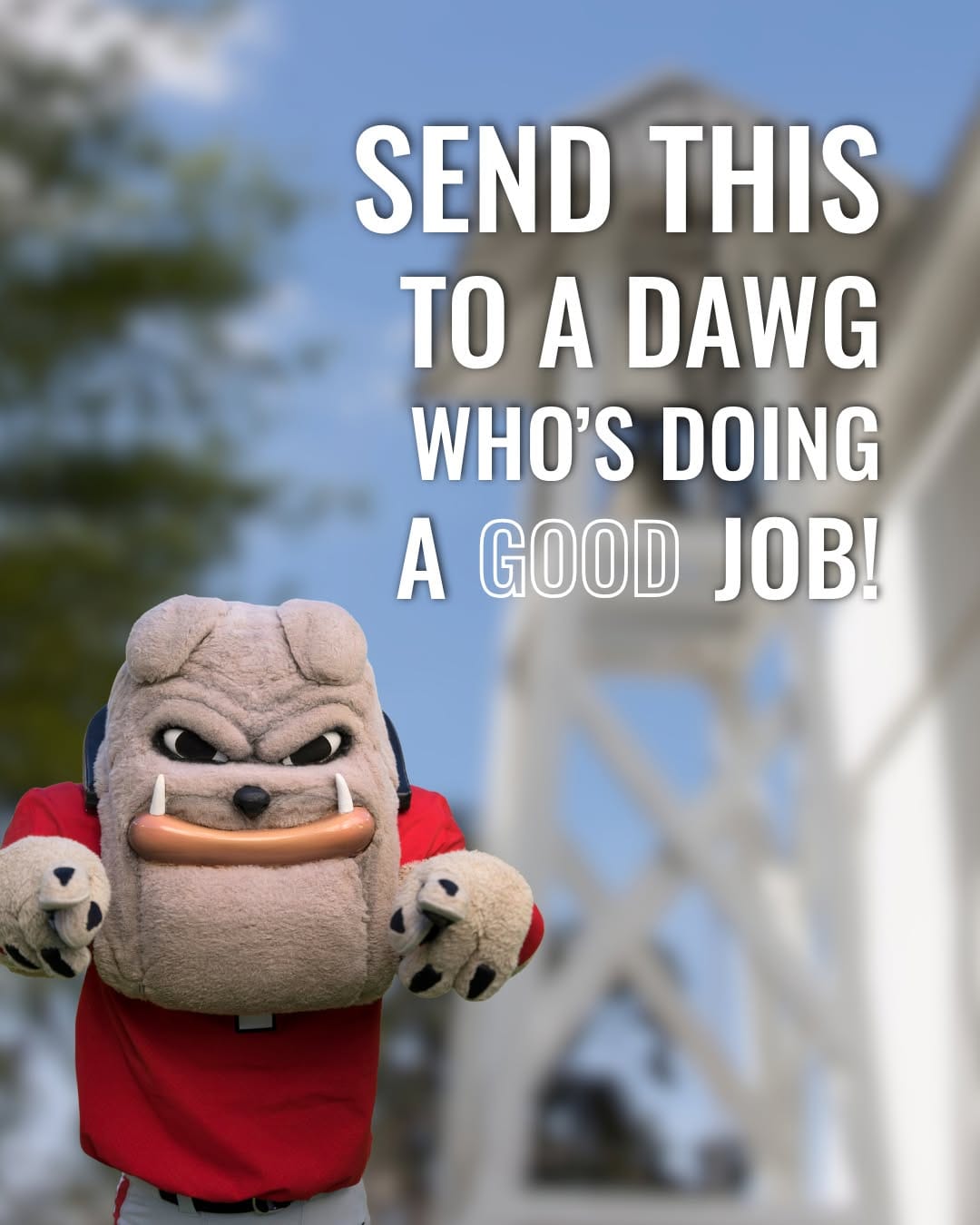 Post 6 by UGA Admissions on Instagram (image)