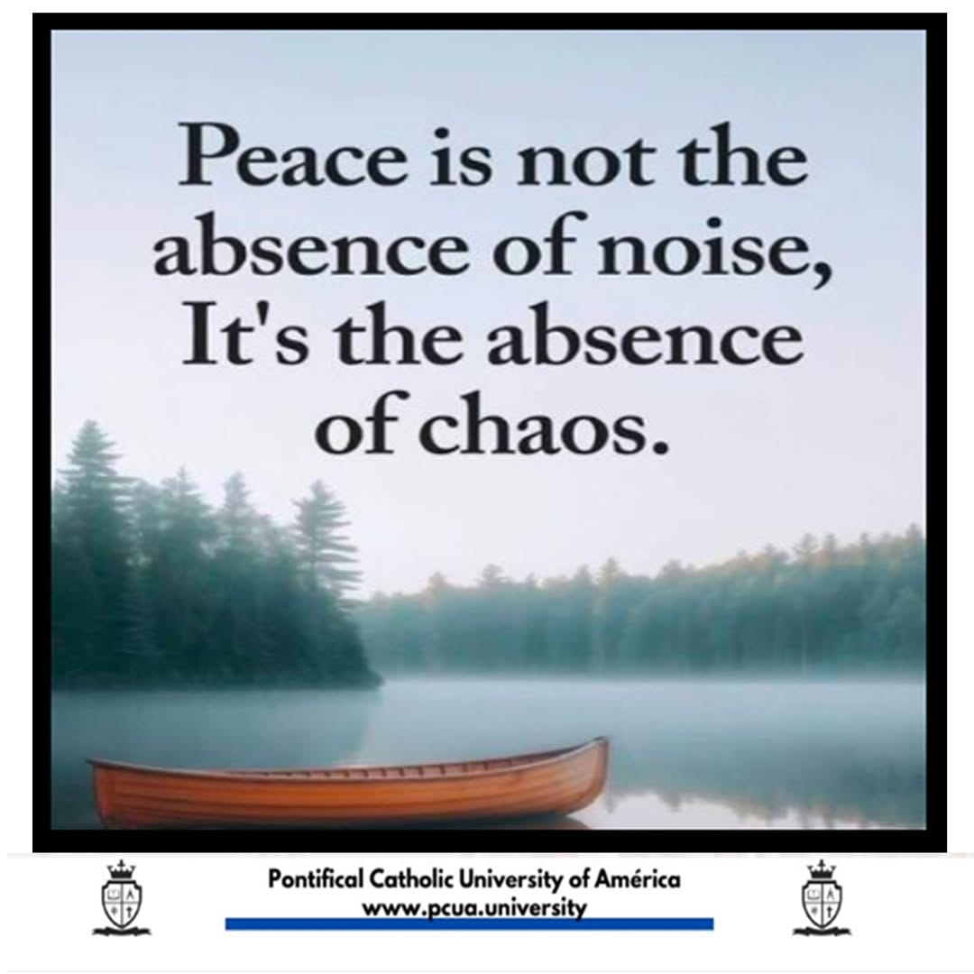Post 2 by P. C. University of America on Instagram (image)