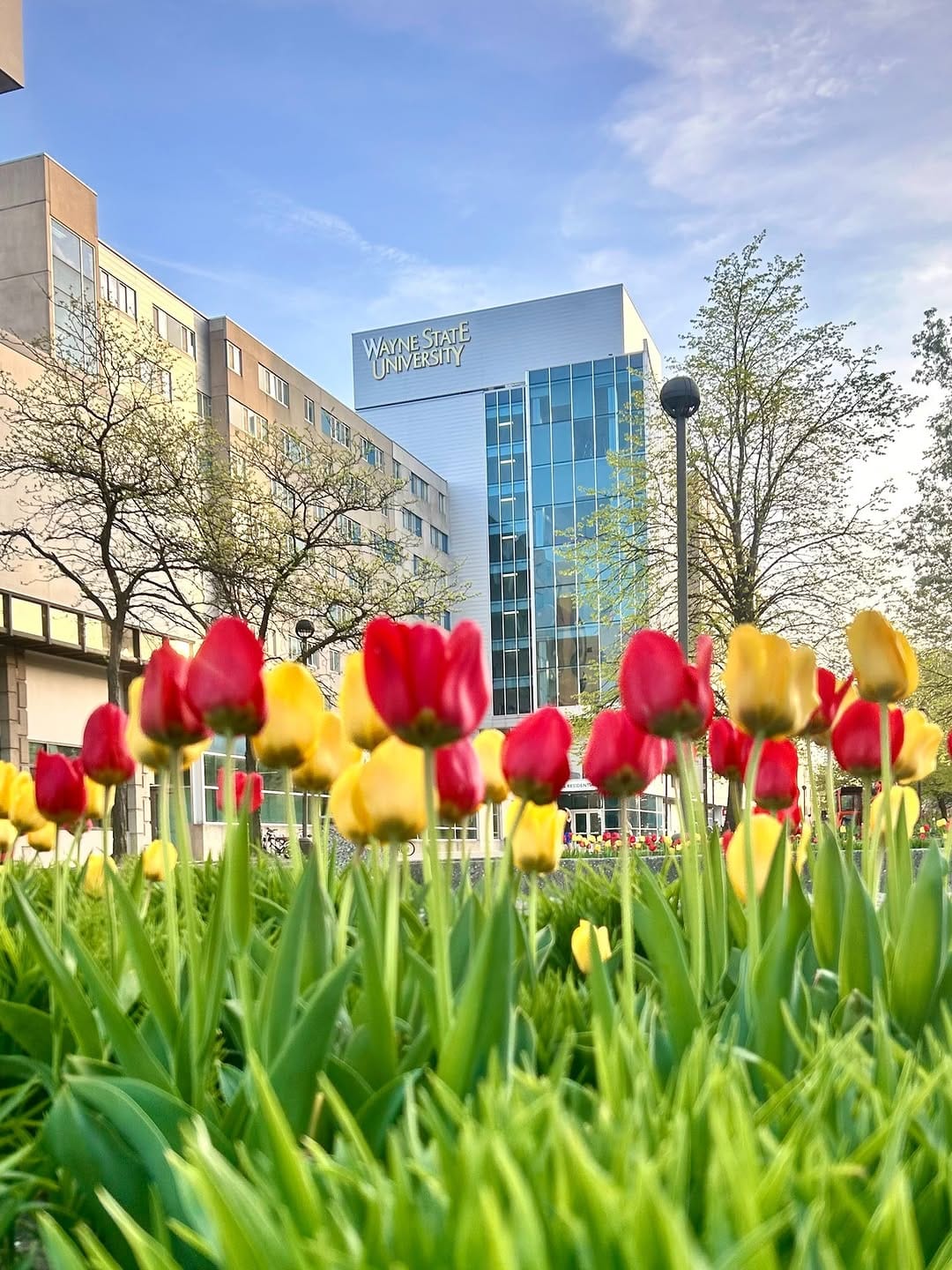 Post 8 by Wayne State University on Instagram (image)