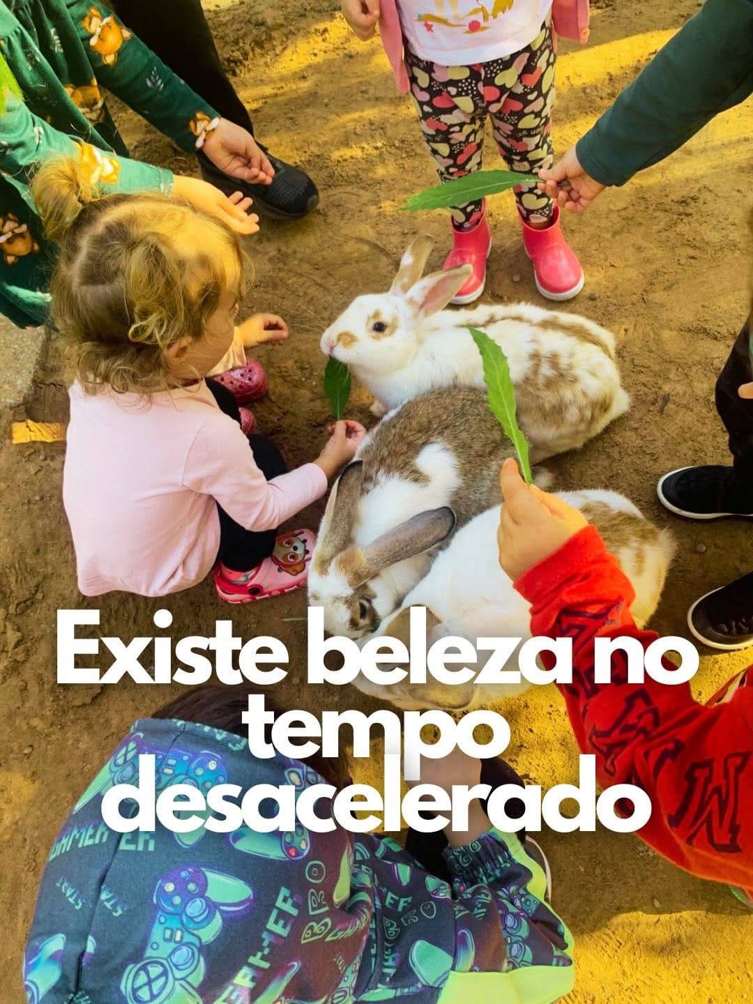 Post 4 by Big Friends Educação Infantil on Instagram (carousel)