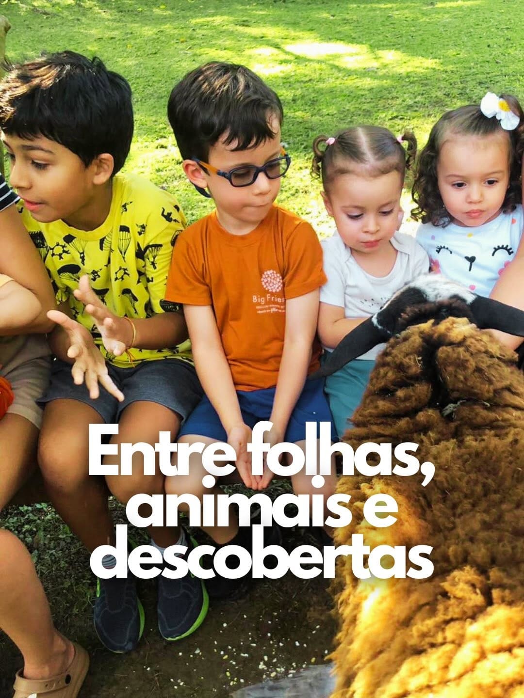 Post 8 by Big Friends Educação Infantil on Instagram (carousel)