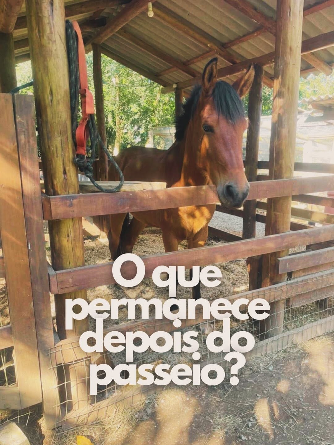 Post 9 by Big Friends Educação Infantil on Instagram (carousel)