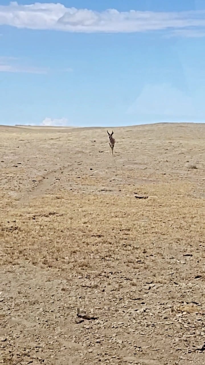 Post 10 by Conner Conrad on Instagram (video)