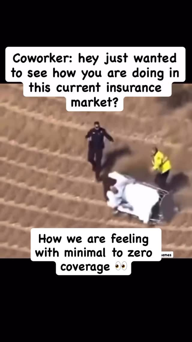 Post 1 by Prestige Insurance Estimating on Instagram (video)