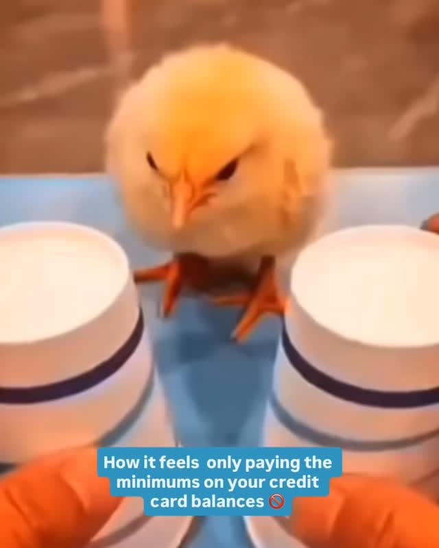 Post 3 by United Financial Network on Instagram (video)