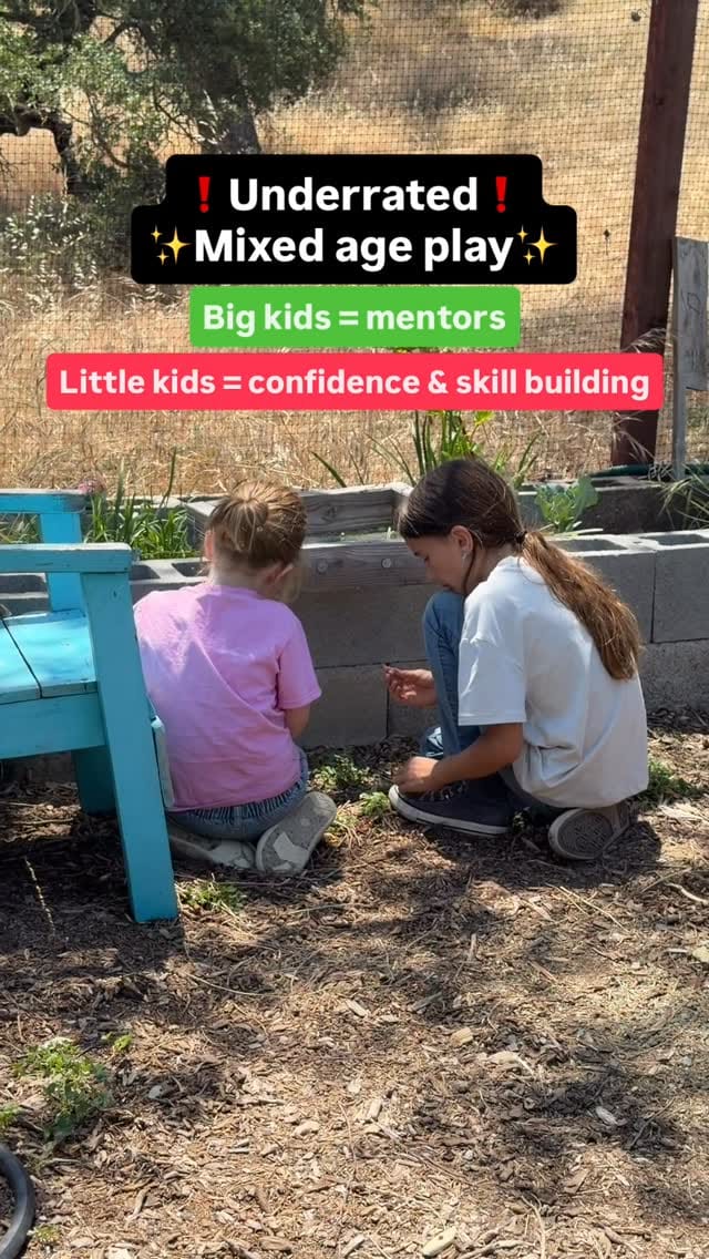 Post 1 by Wild Oak Nature School on Instagram (video)