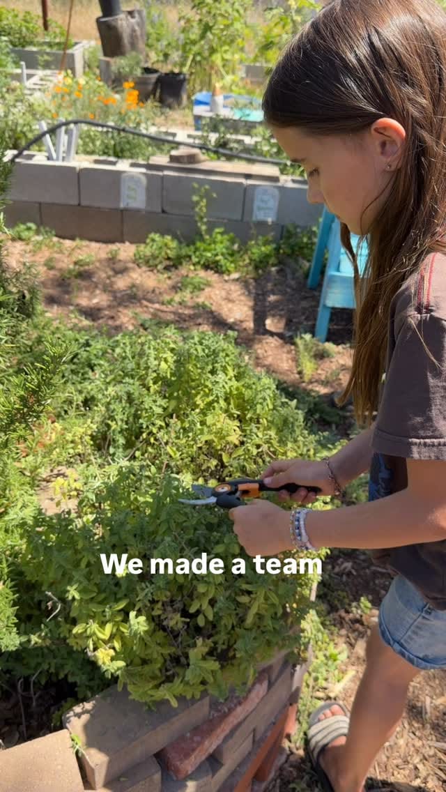 Post 5 by Wild Oak Nature School on Instagram (video)