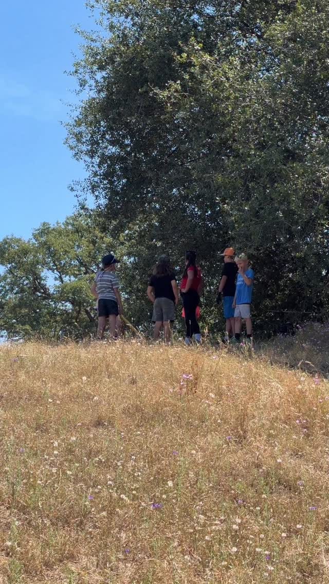 Post 6 by Wild Oak Nature School on Instagram (video)