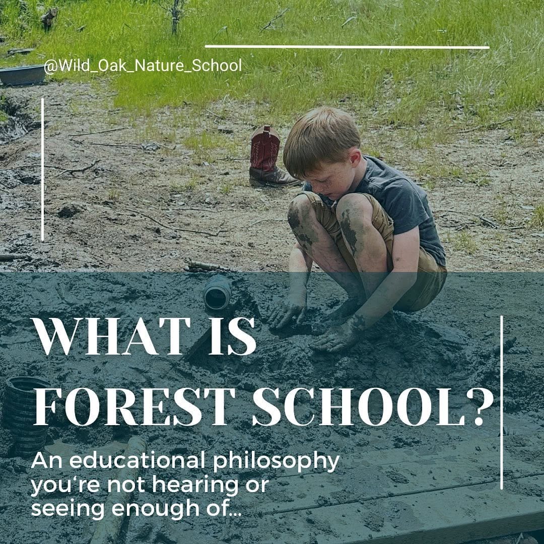 Post 10 by Wild Oak Nature School on Instagram (carousel)