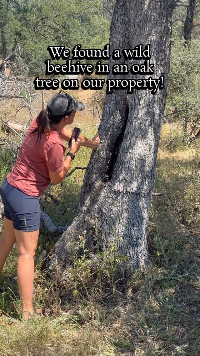 Post 7 by Wild Oak Nature School on Instagram (video)
