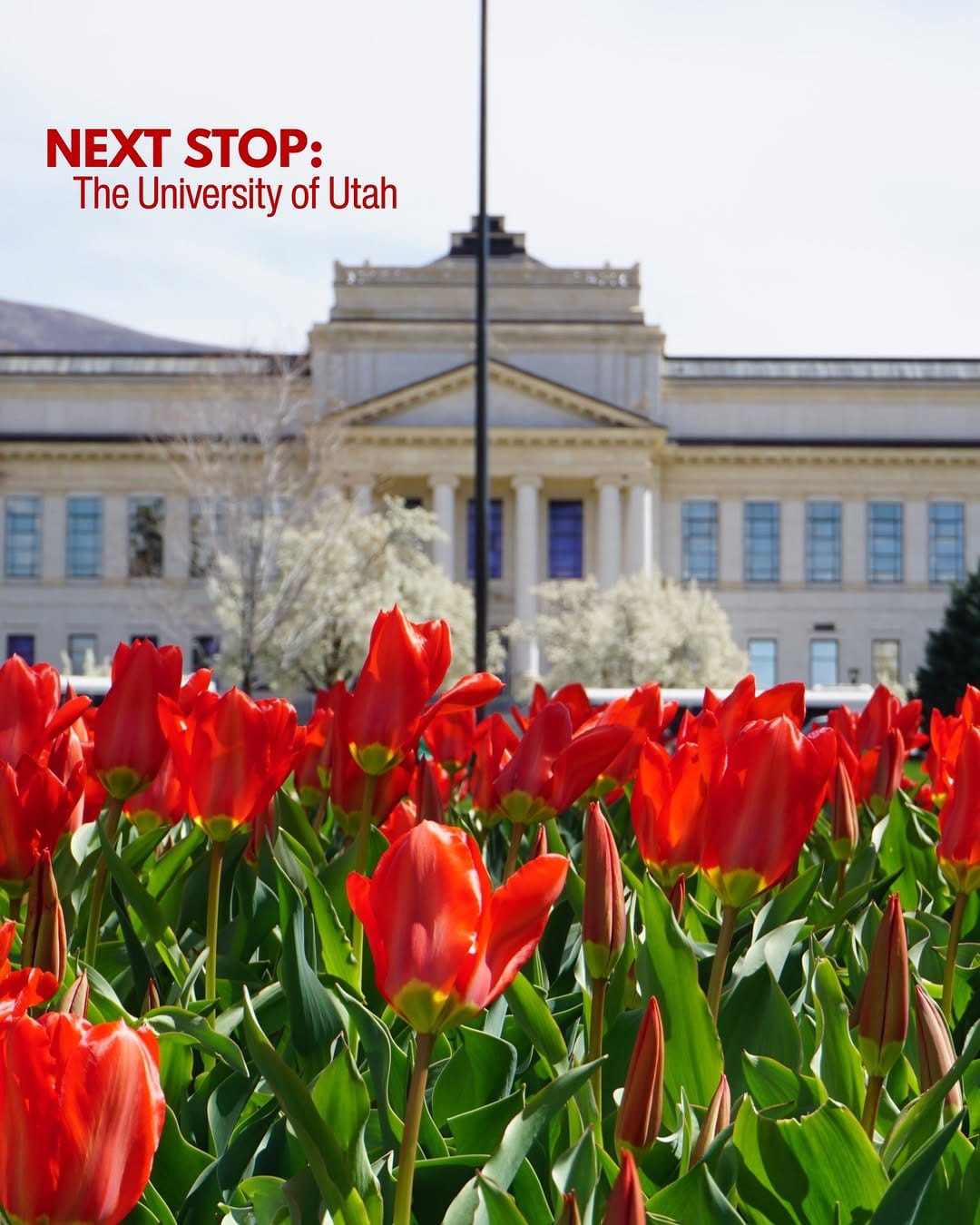 Post 5 by University of Utah Admissions on Instagram (carousel)