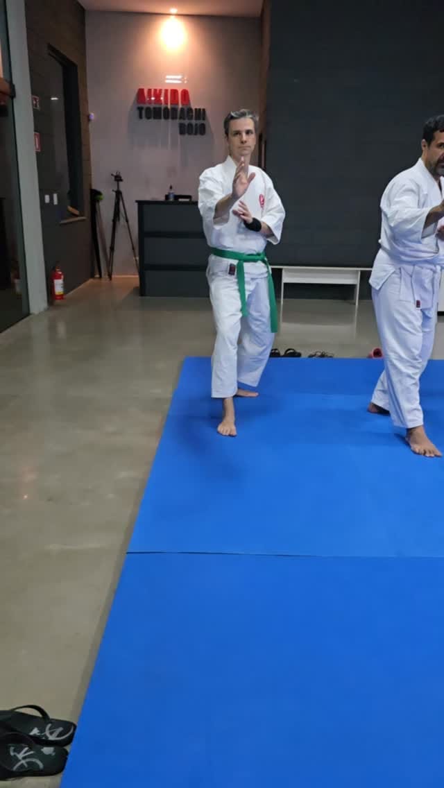 Post 4 by Aikido Tomodachi Dojo on Instagram (video)