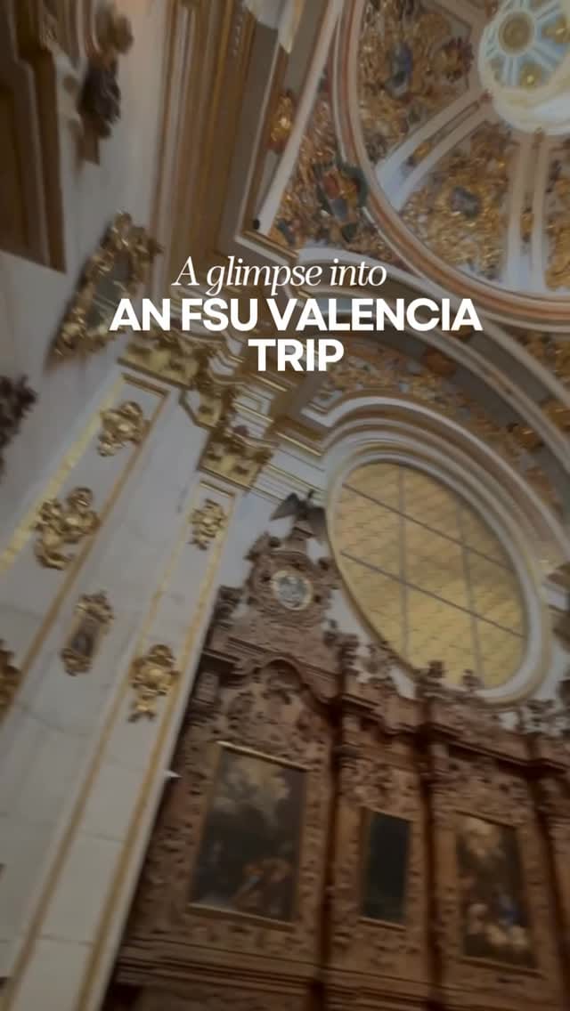 Post 4 by FSU VALENCIA on Instagram (video)
