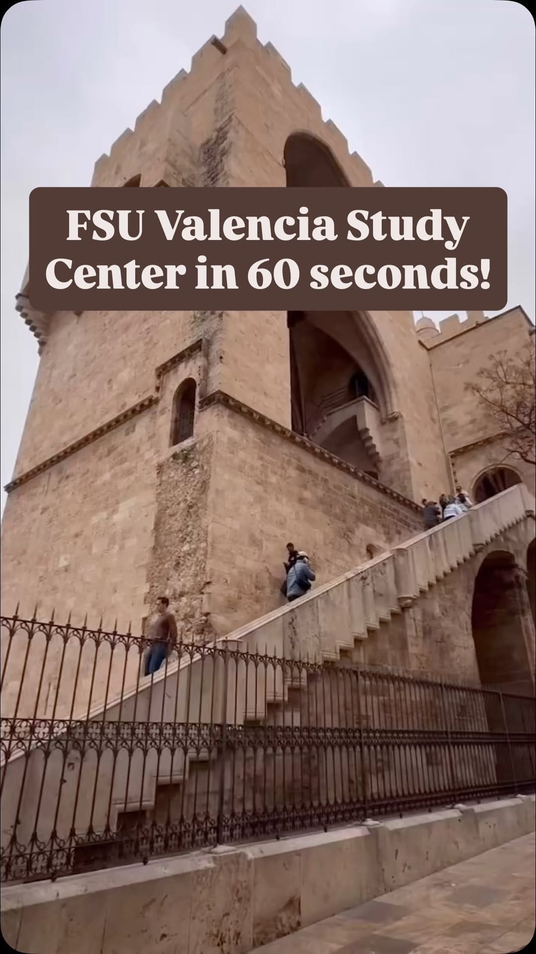 Post 9 by FSU VALENCIA on Instagram (video)
