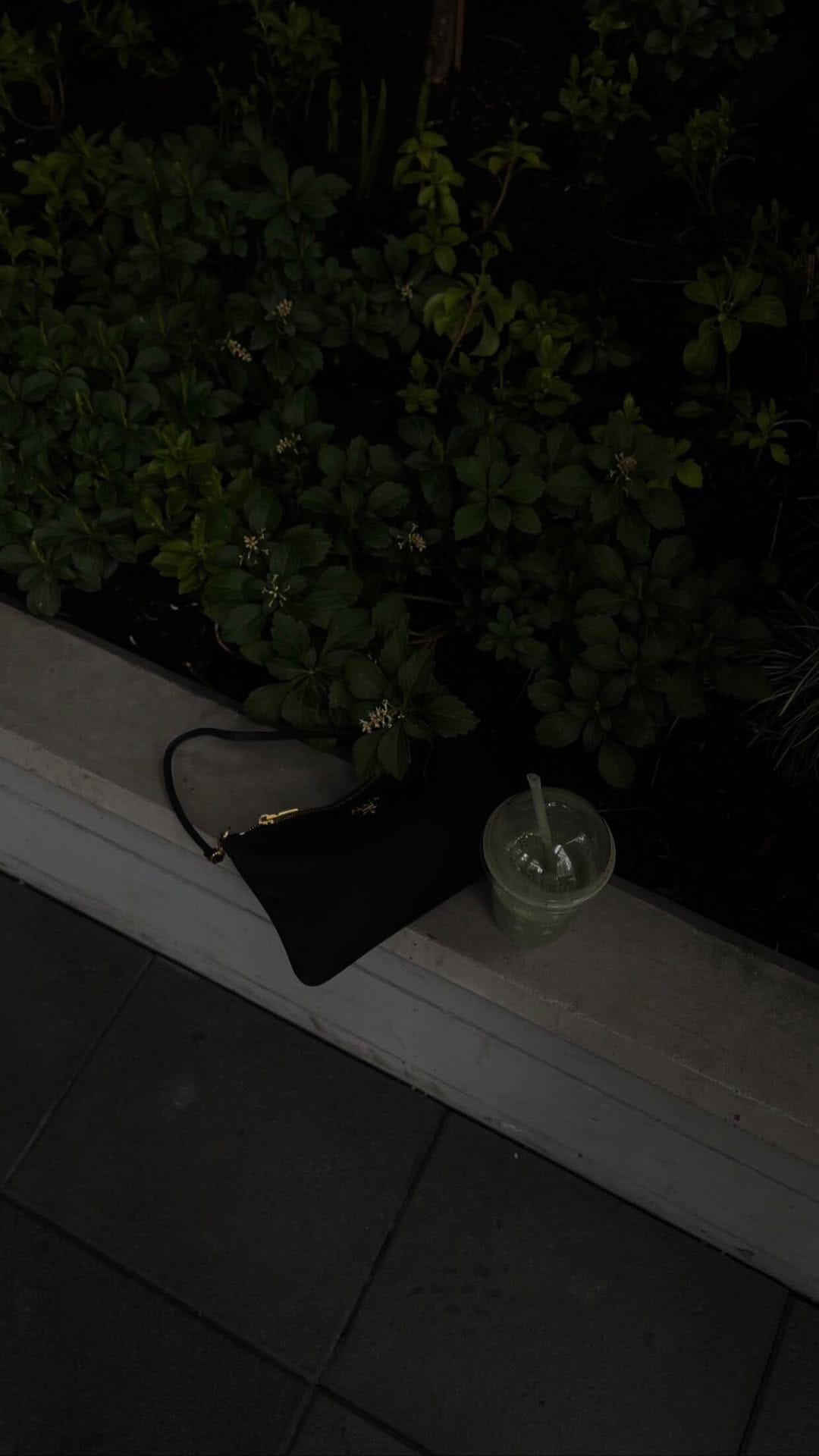 Post 9 by veronica albizu | on Instagram (video)