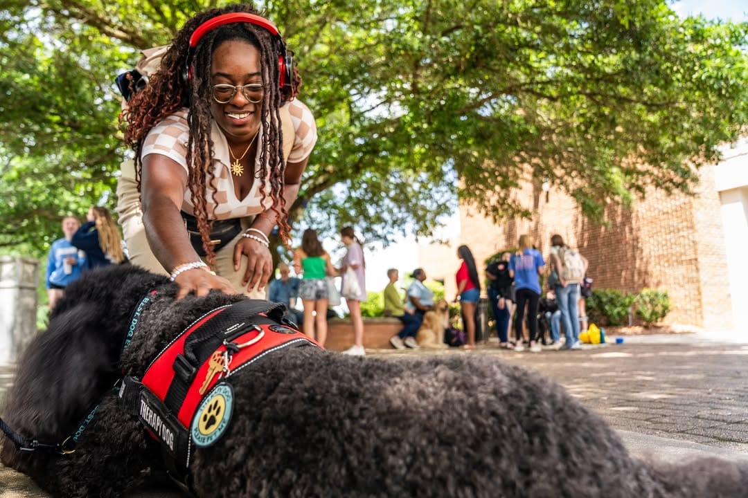 Post 6 by University of South Alabama on Instagram (carousel)