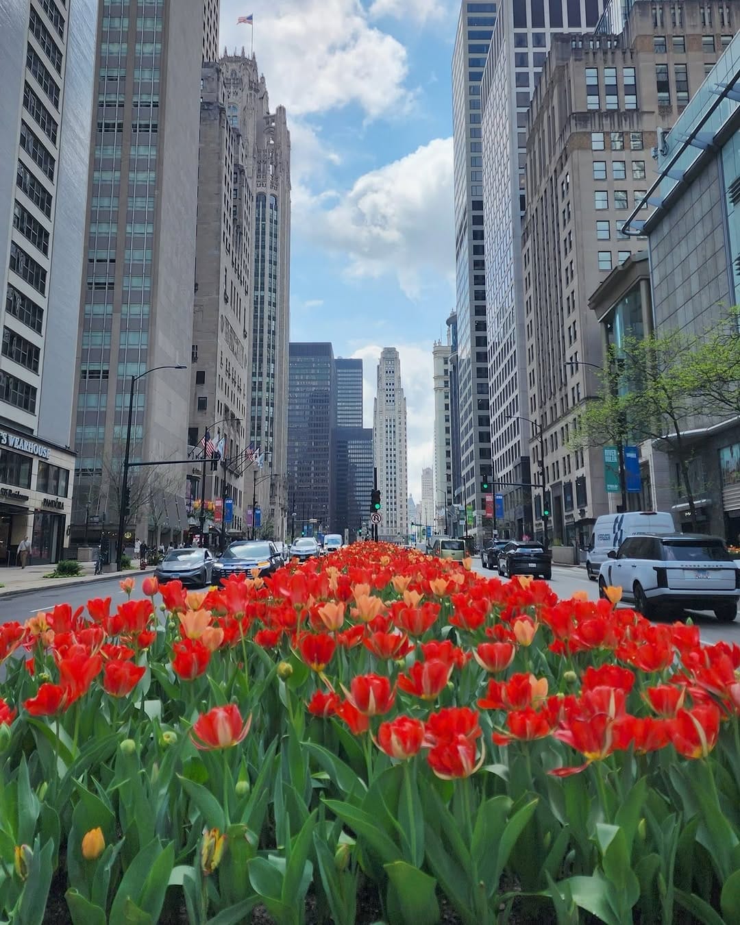 Post 8 by Northwestern Feinberg Medicine on Instagram (carousel)