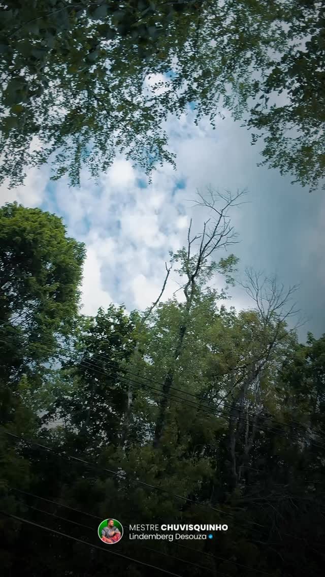 Post 1 by SINHÁ CAPOEIRA BOSTON on Instagram (video)