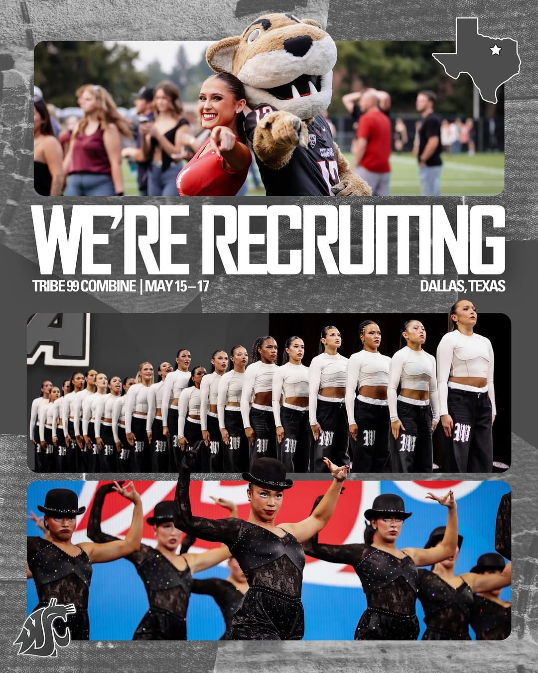 Post 7 by WSU Dance Team on Instagram (image)