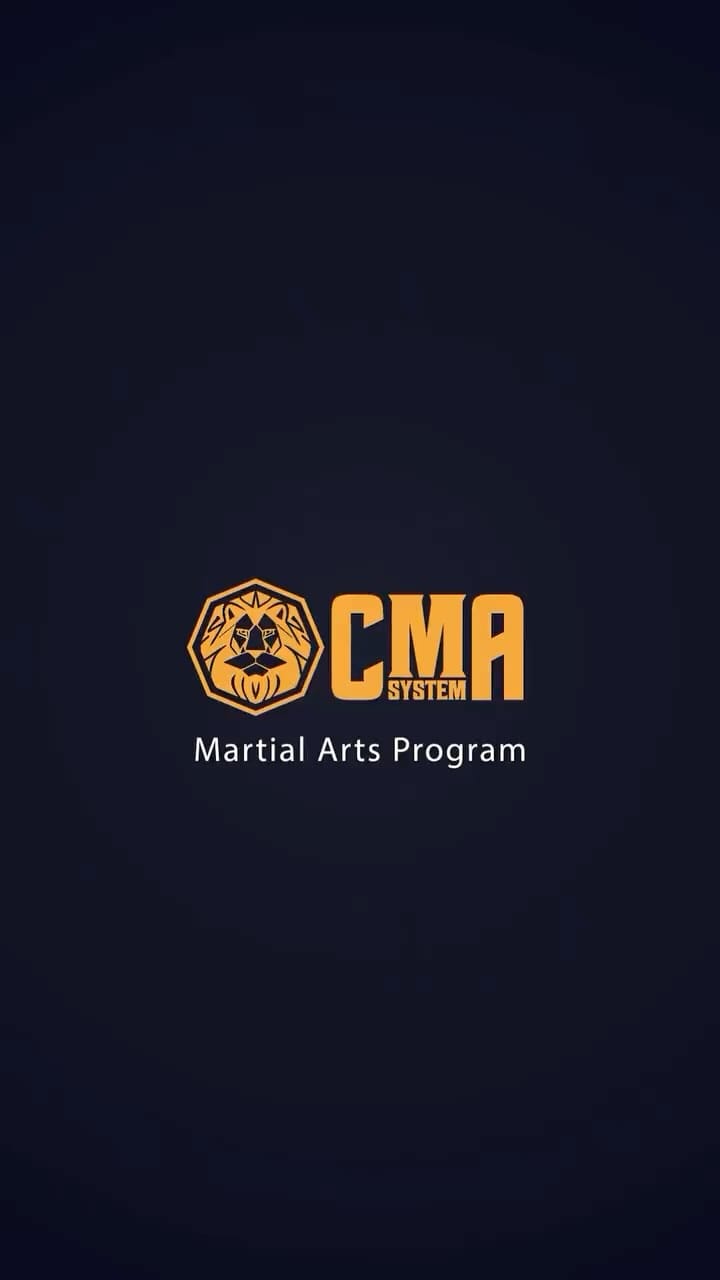 Post 9 by Flavio Carvalho | Martial Arts on Instagram (video)