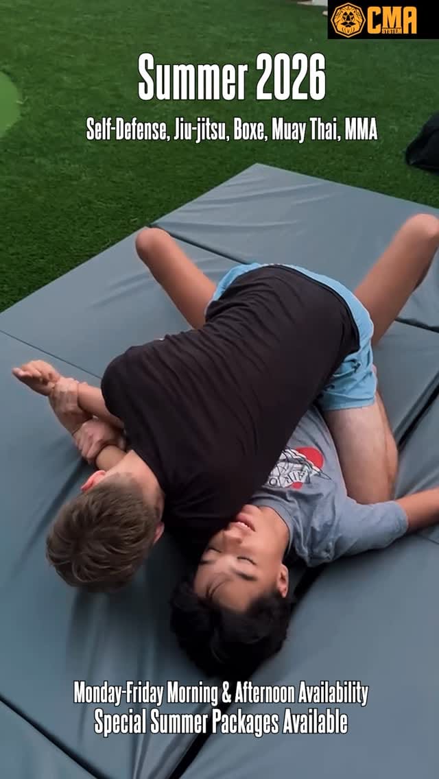 Post 3 by Flavio Carvalho | Martial Arts on Instagram (video)