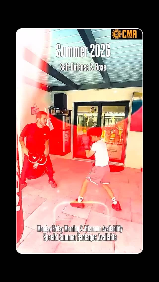 Post 2 by Flavio Carvalho | Martial Arts on Instagram (video)