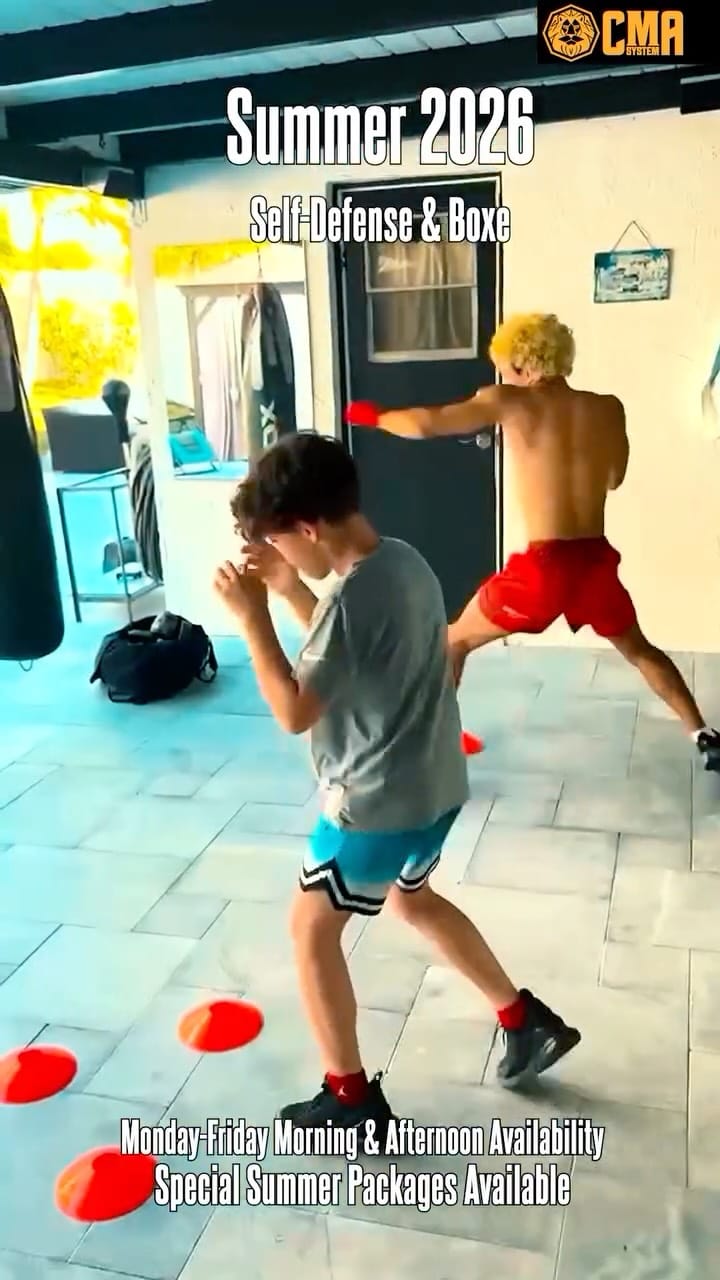 Post 4 by Flavio Carvalho | Martial Arts on Instagram (video)