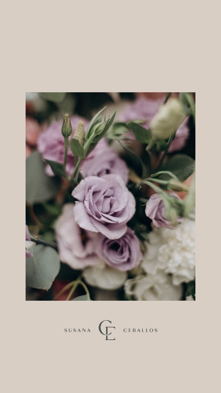 Post 6 by Susana Ceballos • Cultura Emocional® on Instagram (video)
