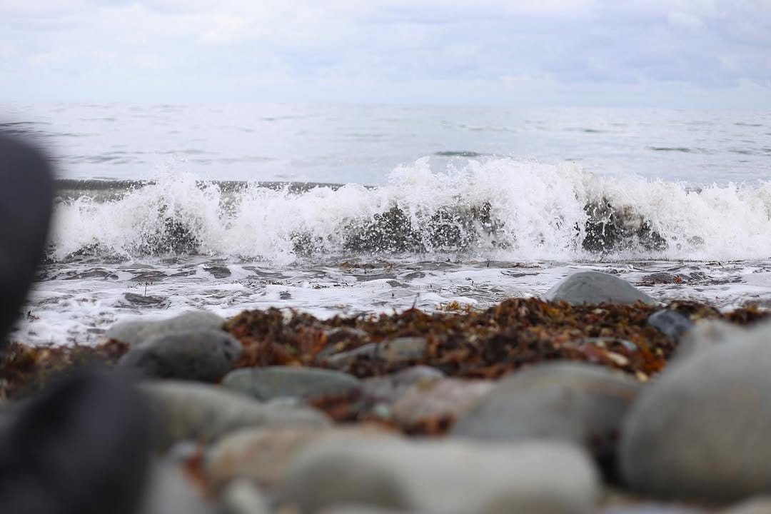 Post 7 by Rachel Wardley on Instagram (image)