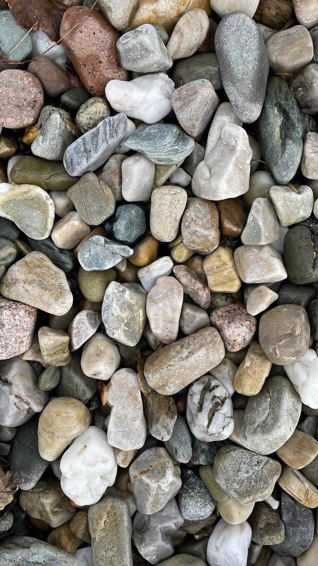 Post 6 by Rachel Wardley on Instagram (video)