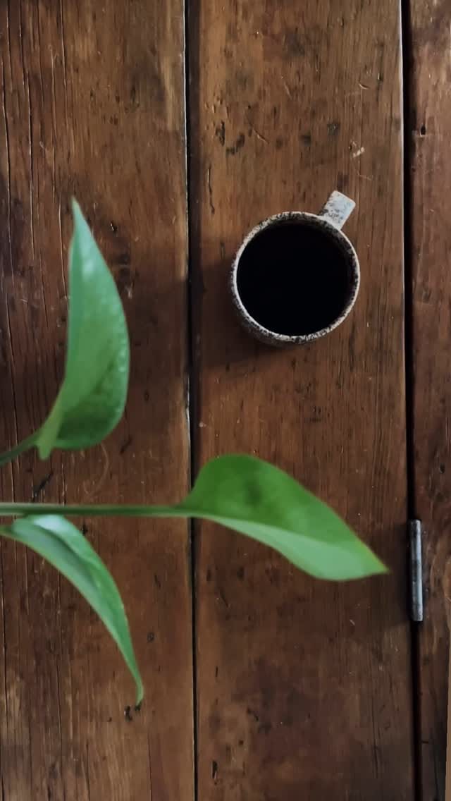 Post 1 by ʟᴀᴜʀᴀ ʙʀᴏᴡɴ - ʟᴏᴜ ᴘᴏᴛᴛᴇʀʏ on Instagram (video)
